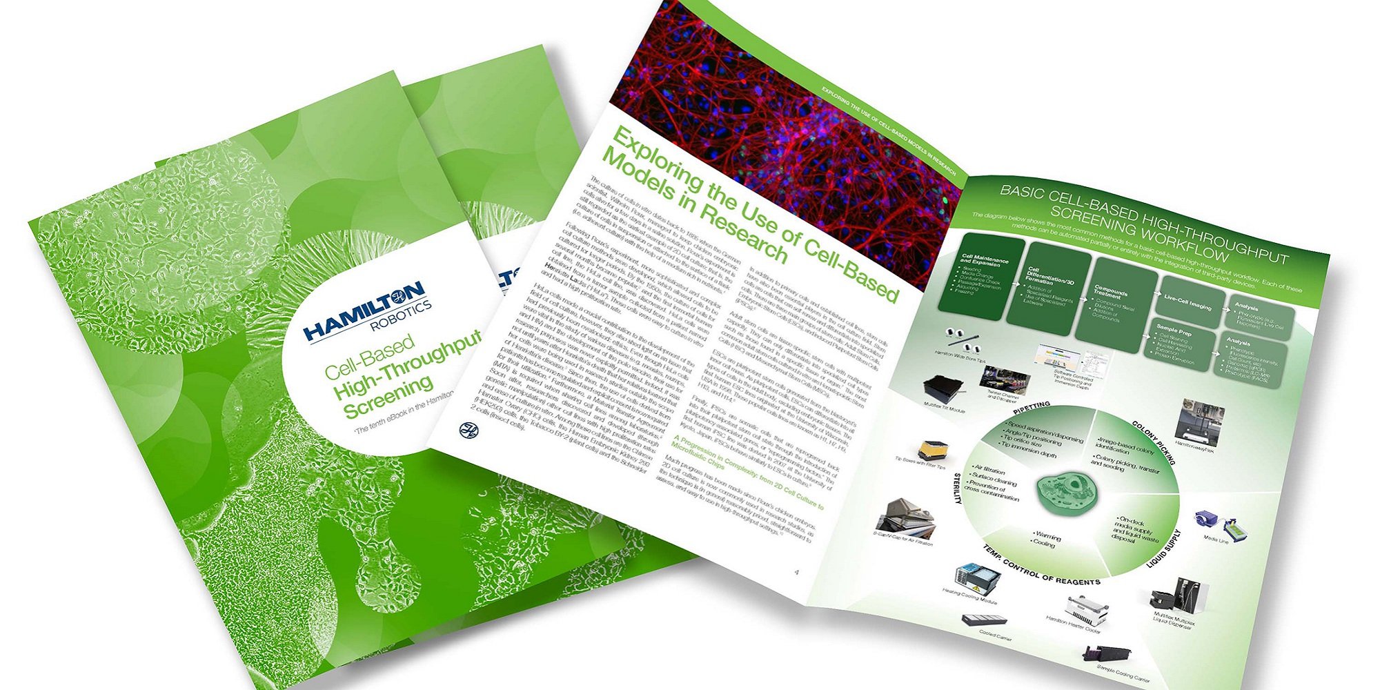 eBook Cell-Based HTS